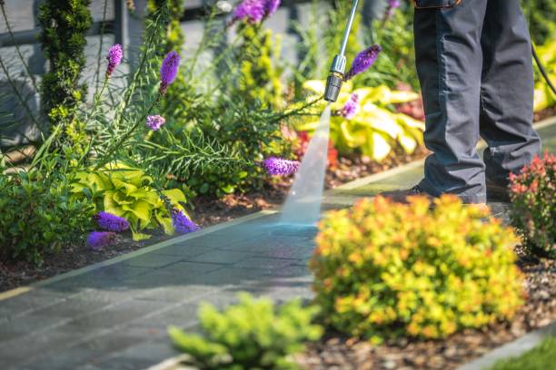 Best Pre-Holiday Cleaning  in Allentown, NJ